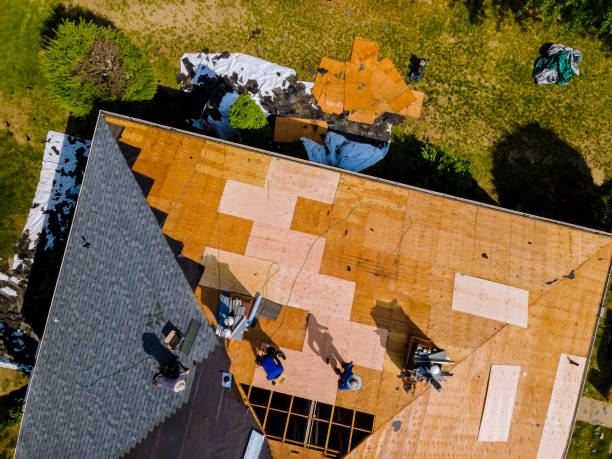 Best Roof Gutter Cleaning  in Jasper, GA